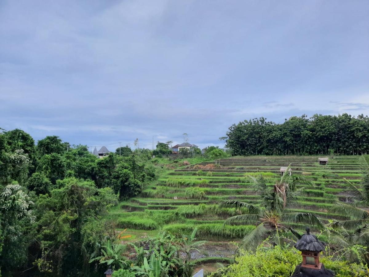 Serenity Private Villa Mas Ubud Εξωτερικό φωτογραφία