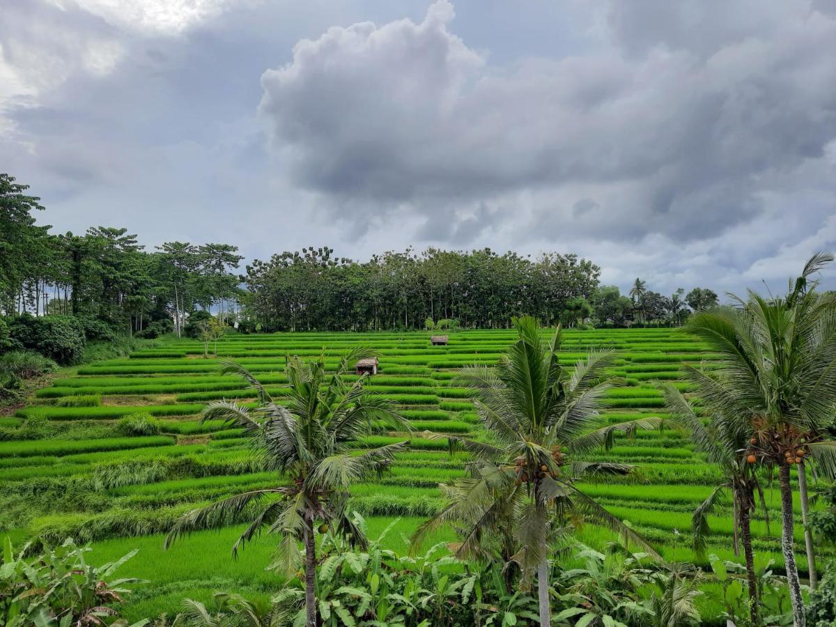 Serenity Private Villa Mas Ubud Εξωτερικό φωτογραφία