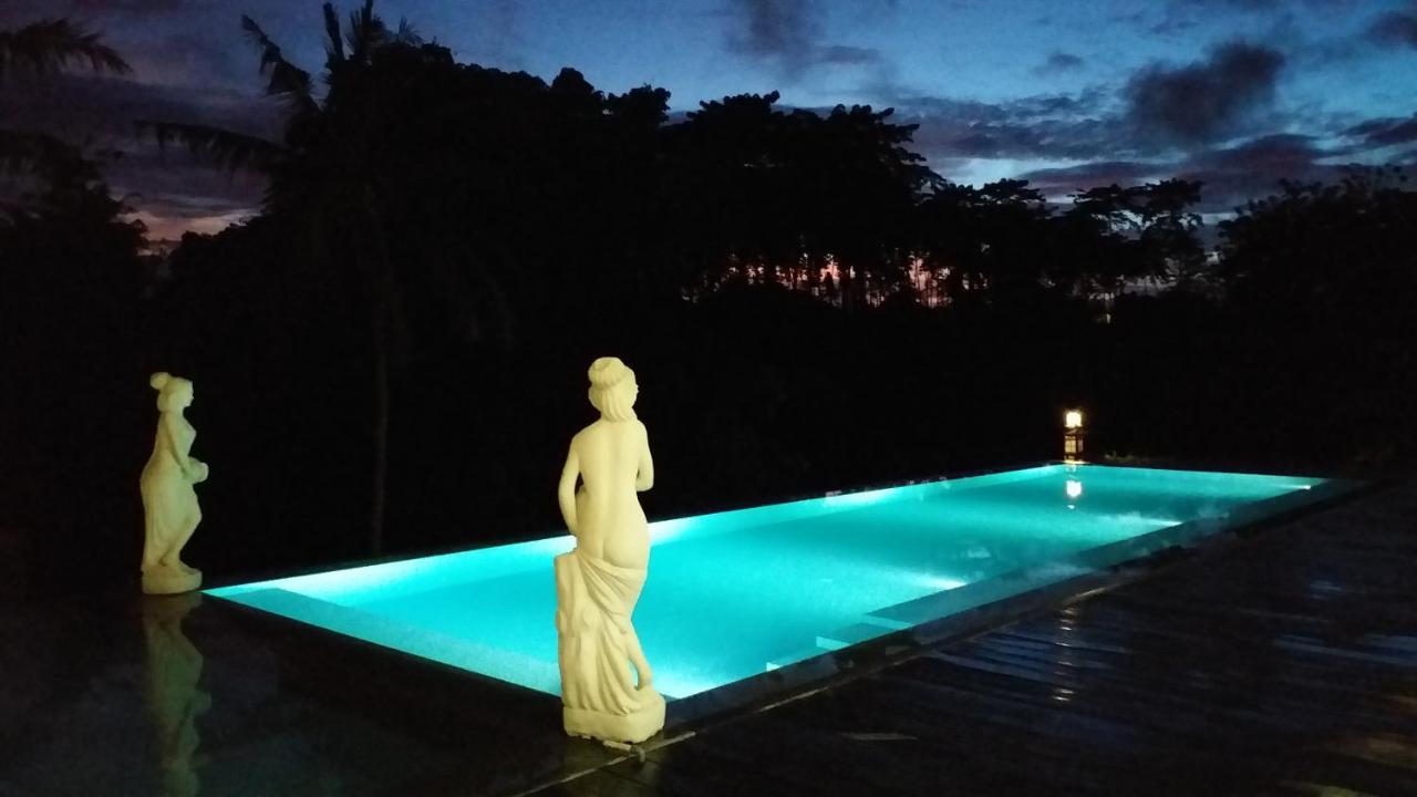 Serenity Private Villa Mas Ubud Εξωτερικό φωτογραφία
