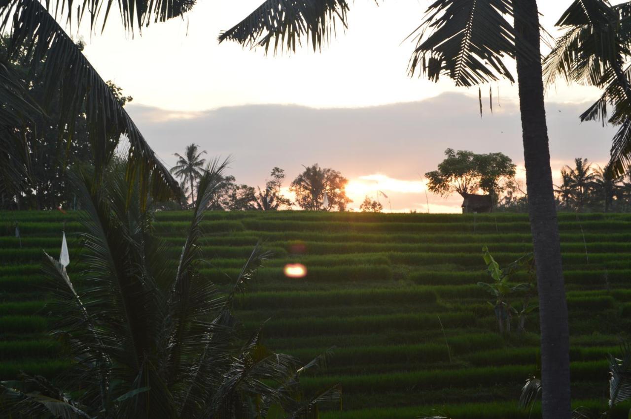 Serenity Private Villa Mas Ubud Εξωτερικό φωτογραφία