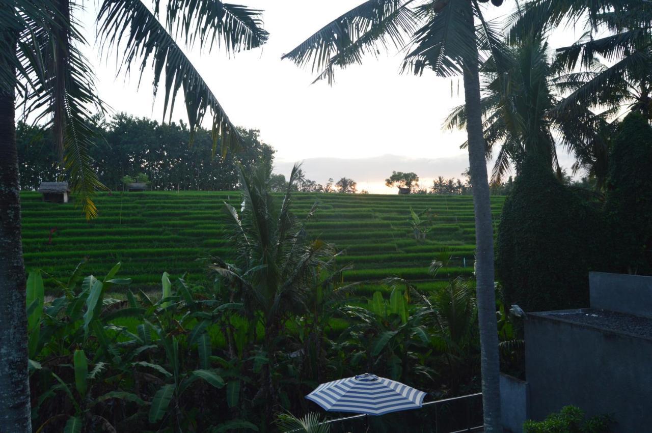 Serenity Private Villa Mas Ubud Εξωτερικό φωτογραφία