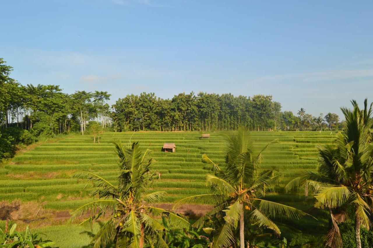 Serenity Private Villa Mas Ubud Εξωτερικό φωτογραφία