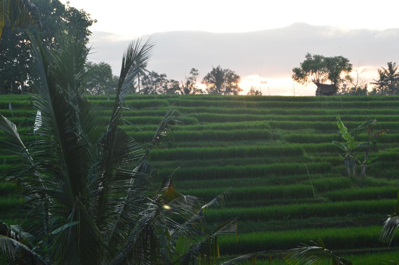 Serenity Private Villa Mas Ubud Εξωτερικό φωτογραφία
