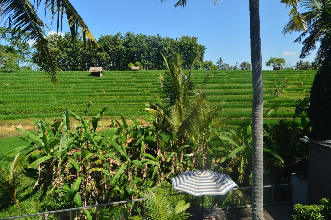 Serenity Private Villa Mas Ubud Εξωτερικό φωτογραφία